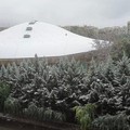 Neve Andria: Sabrina_ore 13 - Palazzetto dello Sport