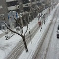 neve via firenze 31 dicembre