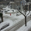 neve via firenze 31 dicembre