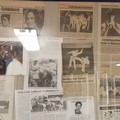 Stage Taekwondo