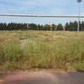 Stadio Sant'Angelo dei Ricchi