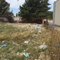 Pulizia straordinaria Quartiere di San Valentino