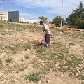 Pulizia straordinaria Quartiere di San Valentino