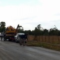 Incidente Andria Bisceglie