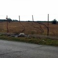 Incidente Andria Bisceglie