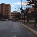 Bidoni Quartiere Europa
