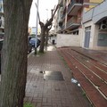 Bidoni Quartiere Europa