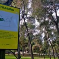 Palestra Verde nuovi attrezzi pineta andria
