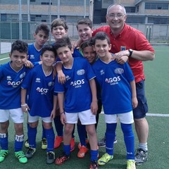 andriensis