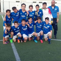 andriensis