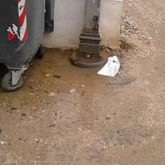 disagi cimitero
