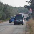 Scontro frontale sulla "Andria-Bisceglie": due feriti