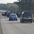 Scontro frontale sulla "Andria-Bisceglie": due feriti
