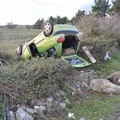 Rubano pecore e si ribaltano con l'auto