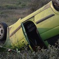 Rubano pecore e si ribaltano con l'auto