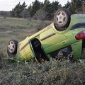 Rubano pecore e si ribaltano con l'auto