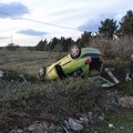 Rubano pecore e si ribaltano con l'auto