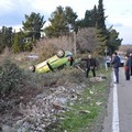 Rubano pecore e si ribaltano con l'auto