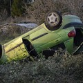 Rubano pecore e si ribaltano con l'auto