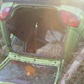 Rubano pecore e si ribaltano con l'auto