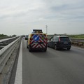 Incidente mortale sulla SS 16 bis: perde la vita un barlettano