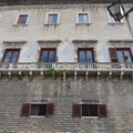 Palazzo Ducale di Andria, albero di fico