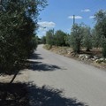 Villetta ritrovato cadavere 55enne Andria