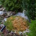 Bomba d'acqua a Castel del Monte - Le immagini
