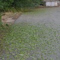 Bomba d'acqua a Castel del Monte - Le immagini