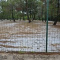 Bomba d'acqua a Castel del Monte - Le immagini