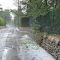 Bomba d'acqua a Castel del Monte - Le immagini
