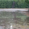 Bomba d'acqua a Castel del Monte - Le immagini