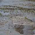 Bomba d'acqua a Castel del Monte - Le immagini