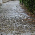 Bomba d'acqua a Castel del Monte - Le immagini