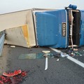 Camion con angurie si ribalta sull'A14 tra Andria e Trani