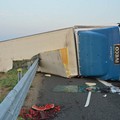 Camion con angurie si ribalta sull'A14 tra Andria e Trani