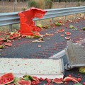 Camion con angurie si ribalta sull'A14 tra Andria e Trani