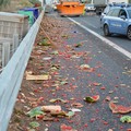 Camion con angurie si ribalta sull'A14 tra Andria e Trani