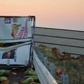 Camion con angurie si ribalta sull'A14 tra Andria e Trani