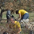 Via Vecchia Spinazzola, Legambiente puliamo il mondo