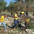 Via Vecchia Spinazzola, Legambiente puliamo il mondo