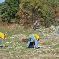 Via Vecchia Spinazzola, Legambiente puliamo il mondo