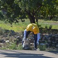 Via Vecchia Spinazzola, Legambiente puliamo il mondo
