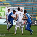 Fidelis juvestabia