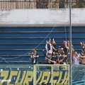 Fidelis juvestabia