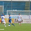 Fidelis juvestabia