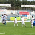 Fidelis juvestabia