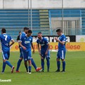 Fidelis juvestabia