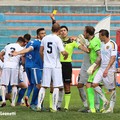 Fidelis juvestabia
