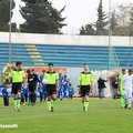Fidelis juvestabia